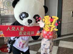 -熊猫不走生日蛋糕(东城店)