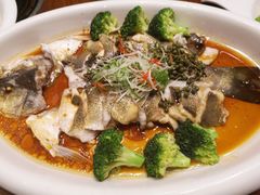 -顺德食府(大明湖店)