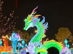 -花博汇(知音花月夜)