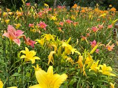 -国家植物园南园