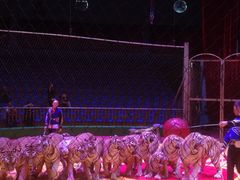 景点-西安秦岭野生动物园