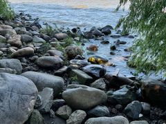 -上海吴淞炮台湾国家湿地公园