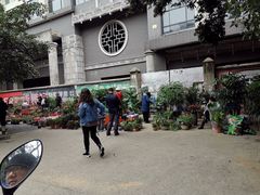 -桂林市花鸟市场