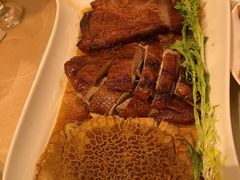 -喜来登由由大酒店九州膳坊中餐厅
