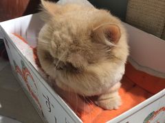 -小时光咖啡馆(开森度假森林店)
