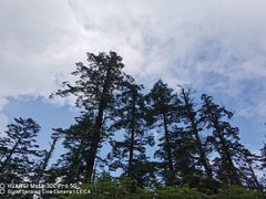 -瓦屋山景区