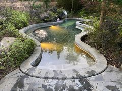 -和顺柏联温泉