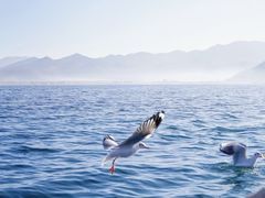 -丽江泸沽湖景区