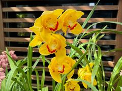 -国家植物园南园