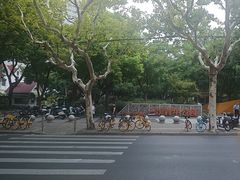 -兰溪青年公园