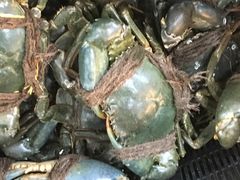 -無招牌海鮮(芽笼店)