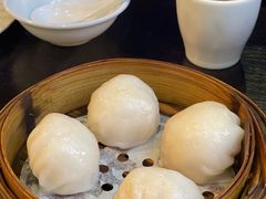 添运来虾饺皇-添运来(茶园奥园广场店)
