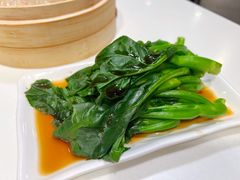 白灼芥兰-金鼎轩(亚运村店)