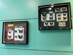 -上海昆虫博物馆