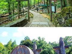 -大奇山国家森林公园
