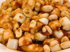 宫爆鸡丁-紫光园(劲松店)