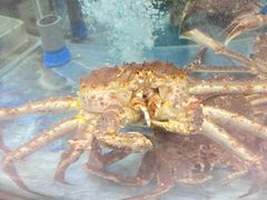 -海底捞大排档火锅(打浦路店)