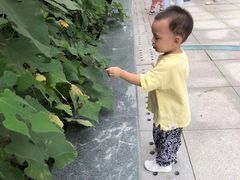 -小米乐儿童之家