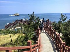 -养马岛旅游度假区