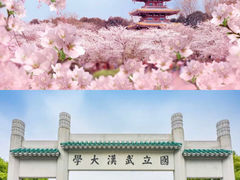-黄鹤楼