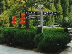 -大槐树寻根祭祖园