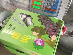 -马陆小张葡萄园农家乐