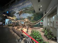 -自贡恐龙博物馆