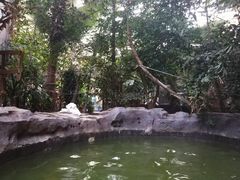 -龙达温泉生态城