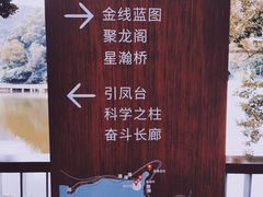 -银湖山郊野公园-相思林