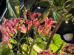 -懒人盐府人家(航天桥店)