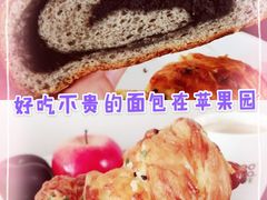 -苹果花园(昌里东路店)