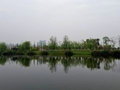 -眉山湿地公园(东坡区)
