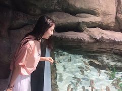 -南昌海洋公园