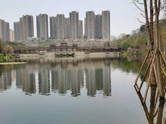 -重庆彩云湖湿地公园