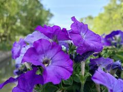 -华东政法大学(松江校区)