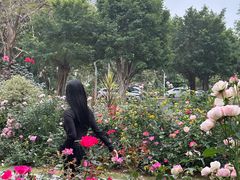 -人民公园(罗湖区)