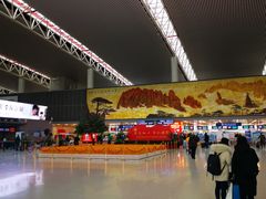 -合肥新桥国际机场-航站楼