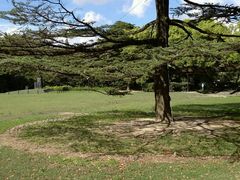 -御花园·粤菜·海鲜火锅(中山公园店)