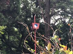-青岛崂山太清宫