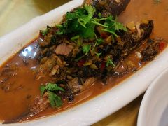 雪菜昂刺鱼-新天厨酒家(二分店)