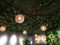 -小熊维尼高端儿童摄影(宝安旗舰店)