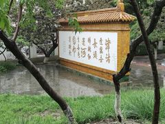 -桃花堤公园