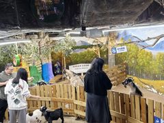 -正佳雨林生态植物园