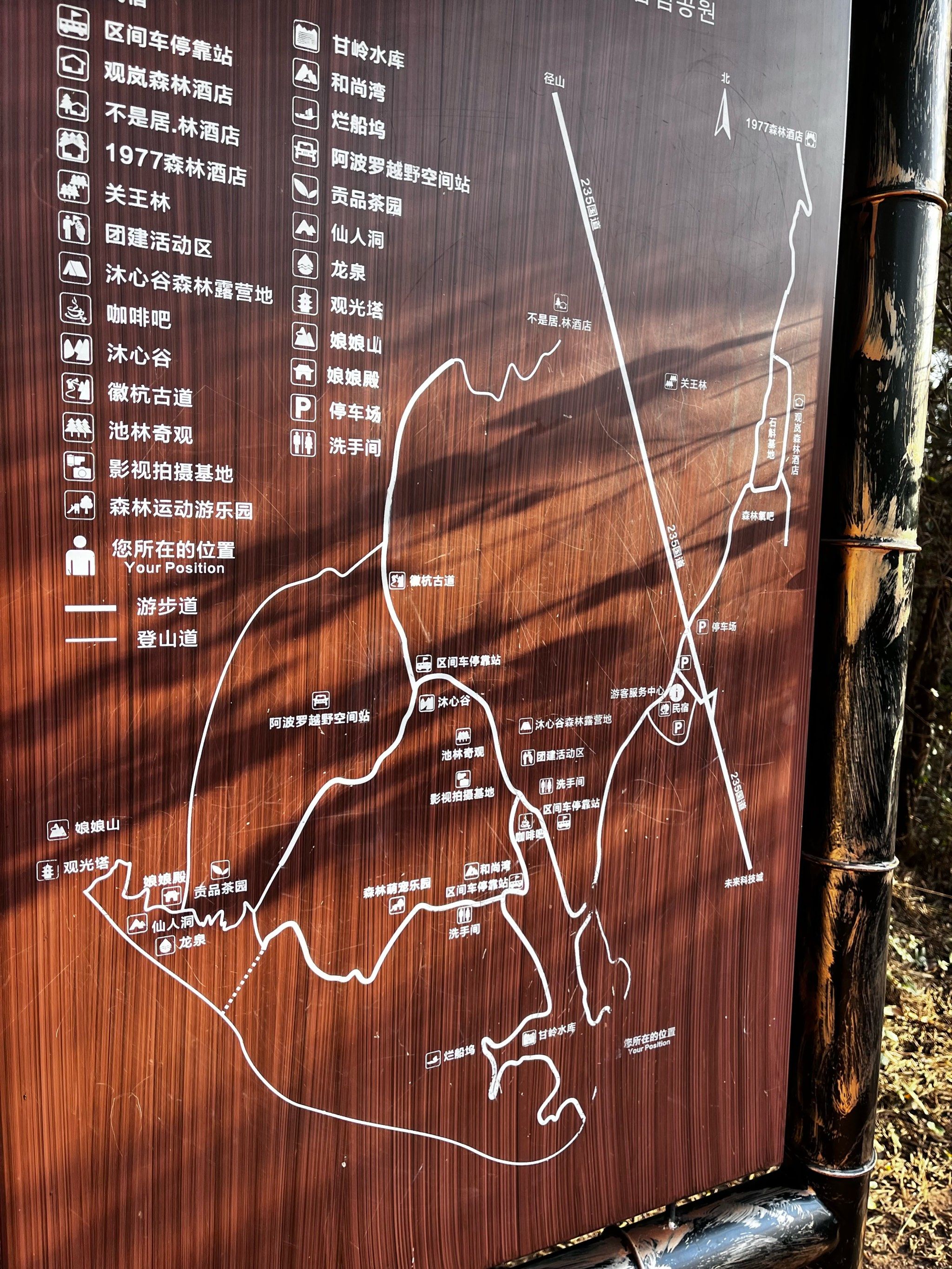 漫步林间秋色中