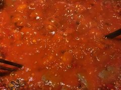 -焱三乐四川火锅店(经纬街店)