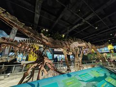 -国家自然博物馆