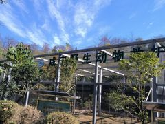 -潜山国家森林公园