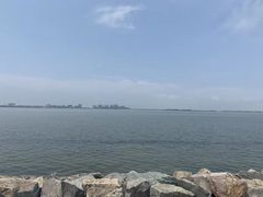 -南汇嘴观海公园