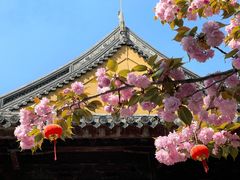 -龙华寺
