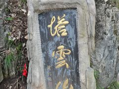 -塔云山